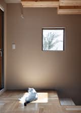 Living Room, Medium Hardwood Floor, and Wall Lighting Designed by Tan Yamanocuhi & AWGL  Photo 7 of 20 in A Cat Tree House by Tan Yamanouchi & AWGL
