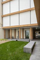 Exterior and Wood Siding Material TERRACE GARDEN  Photo 6 of 17 in Rue du Cirque by Aldric Beckmann Architectes