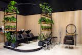Hair Salon