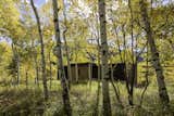 The Perch seamlessly integrates with its surroundings, perched lightly on a sloped site. 