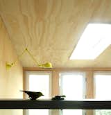 View from the kitchen.