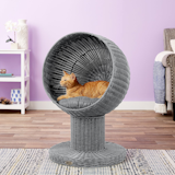 Chewy The Refined Feline Kitty Ball Cat Bed