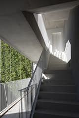 Hallway and Concrete Floor Stairs and Patio with green facade  Photo 16 of 35 in Conde Residential Building