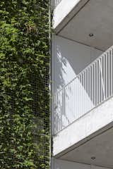 Exterior, Apartment Building Type, Metal Roof Material, Flat RoofLine, Concrete Siding Material, Metal Siding Material, and Green Siding Material Green Facade - Appartment Access Detail  Photo 18 of 35 in Conde Residential Building by Daniel Zelcer