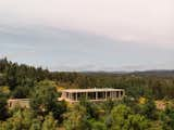 A flat-roofed house sited in nature with lots of trees.