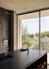 Stained pine siding covers the kitchen appliances and hides away storage. The granite island doubles as indoor firewood storage.