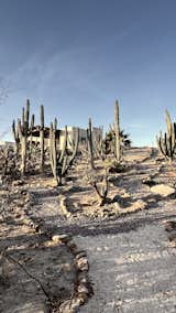 Desierto Azul Exterior
