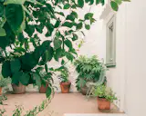 For the floor of the exterior terrace, cotto tiles were replaced with marble from the Greek island of Tinos.