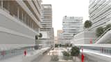 Model view of the urban oasis