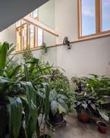 Shed & Studio and Sun Room Room Type  Photo 8 of 15 in Serenity in Nature: Wooded View Retreat with a Greenhouse Oasis by Loren Wood Builders