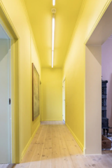 A bright, yellow hallway illuminates and connects the otherwise calm and subdued apartment like a glowing sun.