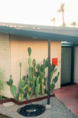 Entry and cactus