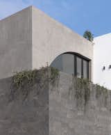 Basalt stone cladding wall