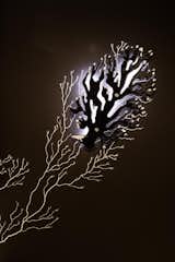 Bespoke glass coral design sconce wall light.