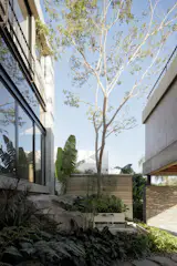 Interior garden