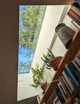 Living Room, Bookcase, Ceiling Lighting, and Limestone Floor Looking up through the rooflight  Photo 10 of 11 in Kentish Town Oasis by Sam Stork