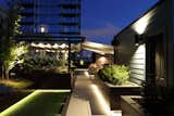 Outdoor, Decking Patio, Porch, Deck, Trees, Landscape Lighting, Wood Patio, Porch, Deck, Hardscapes, Shrubs, Rooftop, Walkways, Tile Patio, Porch, Deck, Grass, and Raised Planters  Photo 2 of 9 in Roof Deck Build and Design in Chicago by Danielle Chicago Green Design