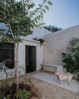 Outdoor, Concrete Fences, Wall, Gardens, Flowers, Vertical Fences, Wall, Small Patio, Porch, Deck, Grass, Front Yard, Trees, and Vegetables Jardin de Acceso  Photo 16 of 16 in Casa Thiago 82 by Jorge Zaldivar