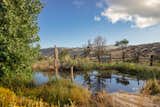 Outdoor, Desert, Field, Woodland, Slope, and Back Yard spring-fed pond behind house with dock  Photo 18 of 24 in Thunderbird Ranch - 5 parcel 45 acre off-grid property with remodelled home for sale in Pioneertown by DHDesign