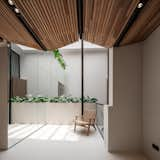 The pocket and corridor space above the wooden planter, with a mirror wall reflecting skylight, brightening the area at Double B Hostel.