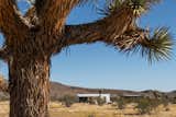 Photo 1 of 24 in Joshua Tree Desert Minimal New Build by Clayton Baldwin