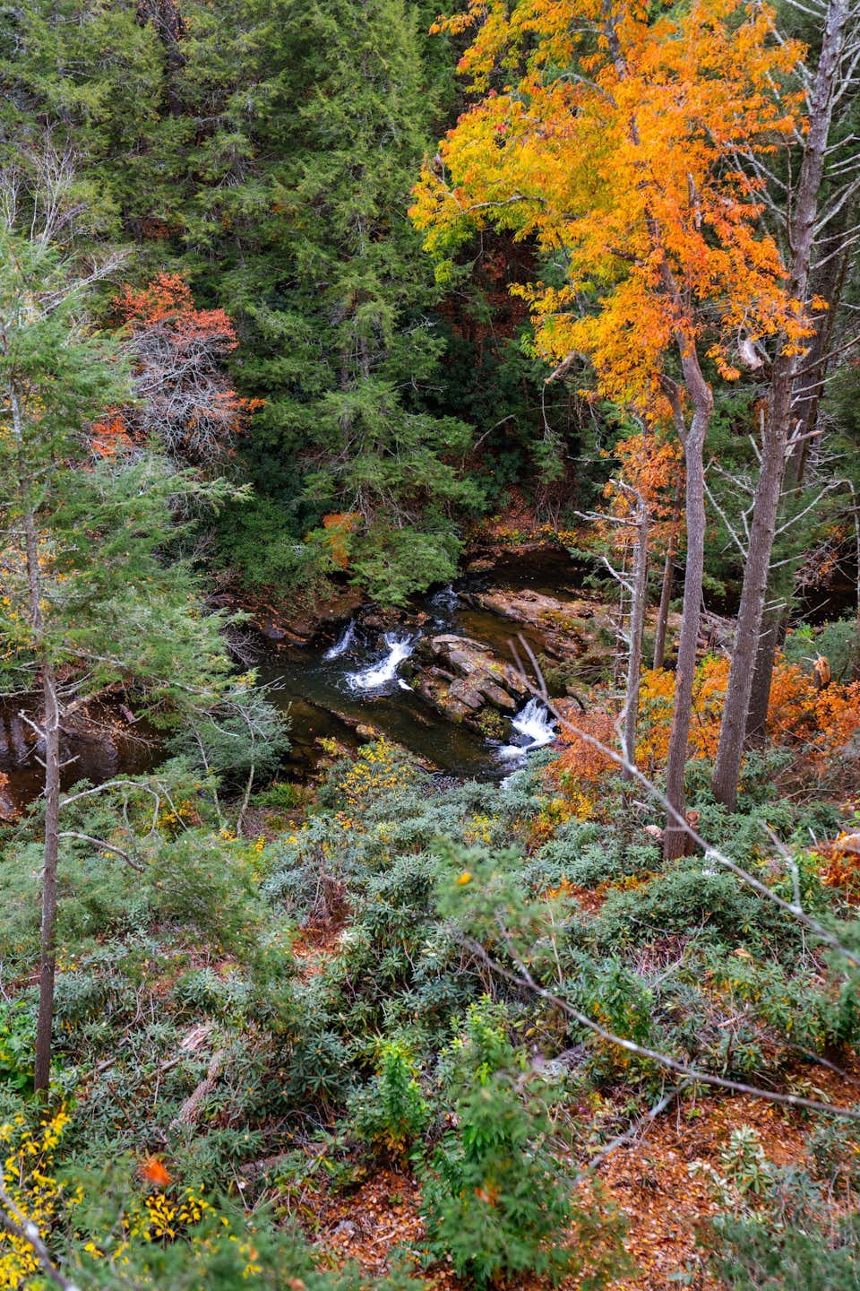 photo-11-of-20-in-river-forest-lookout-by-mark-derenthal-dwell
