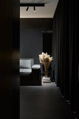 Living Room, Dark Hardwood Floor, Sofa, and Track Lighting  Photo 10 of 17 in Hoffman Apartment by Shovk Studio