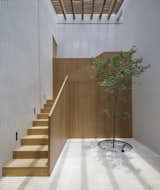 Staircase, Wood Railing, and Wood Tread  Photo 10 of 19 in Noah House by Cadaval Estudio
