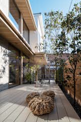 View of Family Garden & Winter Sun Deck in South Courtyard  Photo 7 of 48 in Counter-Balance House by Benjamin Albertson