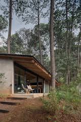 The house proportions give it a horitzontality in contrast with the tall pine trees of the forest.