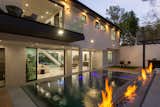 Outdoor, Salt Water Pools, Tubs, Shower, Swimming Pools, Tubs, Shower, Decking Patio, Porch, Deck, Back Yard, Retaining Fences, Wall, Trees, and Walkways Backyard  Photo 8 of 10 in This Sherman Oaks Residence Showcases Indoor-Outdoor Harmony by Sophia Kelley