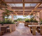 Rubra by Chef Daniela Soto-Innes  Photo 10 of 30 in Rubra by Chef Daniela Soto-Innes at W Punta de Mita by W Punta de Mita