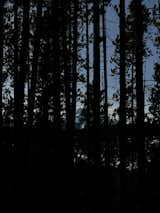 Big Sky's Lone Mountain Peak through the forest of one of Aspect's nearby hiking trails.