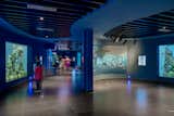 The 72 exhibit tanks house 12,000 fishes of 180 species