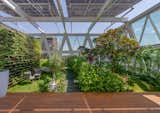 The aesthetically designed terrace garden serves as a sustainable oasis