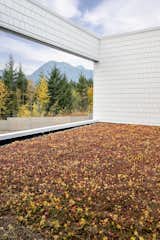 The sedum green roof can be enjoyed from the top floor for all its vibrancy.