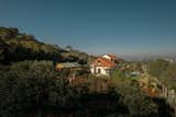 Drone Shot - Plantation View