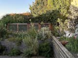 Outdoor, Flowers, Grass, Shrubs, Gardens, Wood Fences, Wall, Back Yard, and Hardscapes  Photo 5 of 7 in Cole Valley by Etta Studio