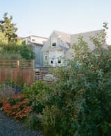 Outdoor, Back Yard, Flowers, Hardscapes, Trees, Grass, Walkways, Vegetables, Gardens, Shrubs, and Wood Fences, Wall Flowering perennial herbs, apple tree  Photo 1 of 7 in Cole Valley by Etta Studio