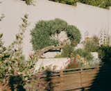 Outdoor, Back Yard, Hardscapes, Trees, Flowers, and Shrubs  Photo 7 of 7 in Cole Valley by Etta Studio