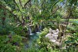 A freshwater grotto set with natural oolite stone and cascading waterfalls  invite tranquility.