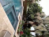 Raised planter and water wall