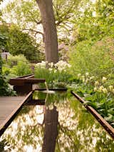 The water feature runs along the length of the garden