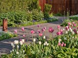 Hardscaping leads to the main entry of the house