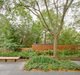A modulated Ipe timber fence encloses the garden