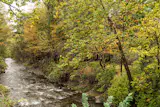 Saw Kill Creek, a tributary of the Hudson, runs through the property.