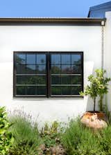 Exterior windows facing the garden