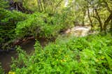 The creek running through the property