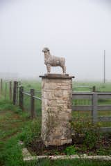 RAM Windows & Doors