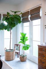 RAM white picture windows bring welcoming light into this dining area.